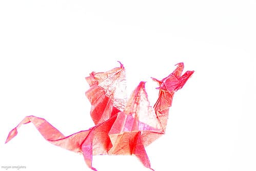 Flickr photo